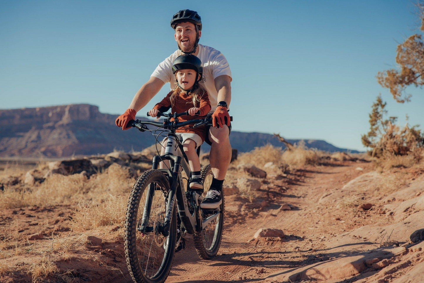 LilRider Bike Seat